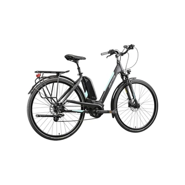 Gepida REPTILA 1000 ALTUS 7 Elektromos Kerékpár Ingyenes szállítás