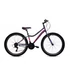 Kép 3/4 - Capriolo Diavolo 600 26" Lányka 14" MTB kerékpár 